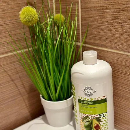 Sunshine Saints Constantine and Helena