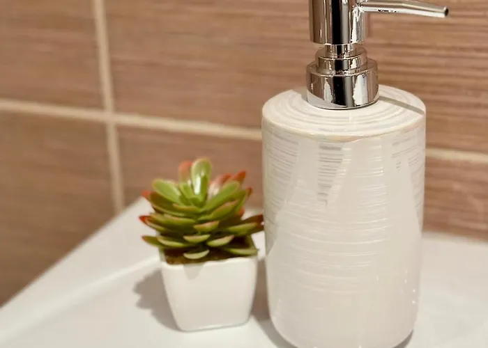 Daire Sunshine Aziz Konstantin ve Elena