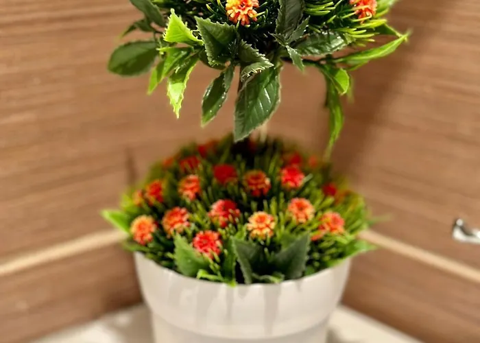 Sunshine Aziz Konstantin ve Elena