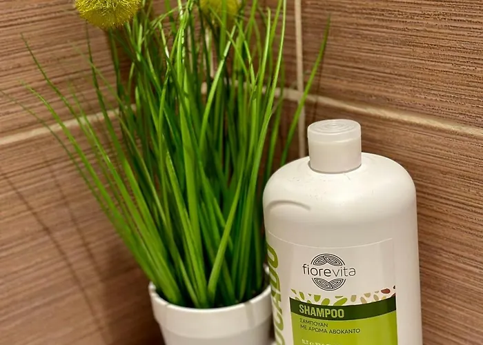 Sunshine Aziz Konstantin ve Elena